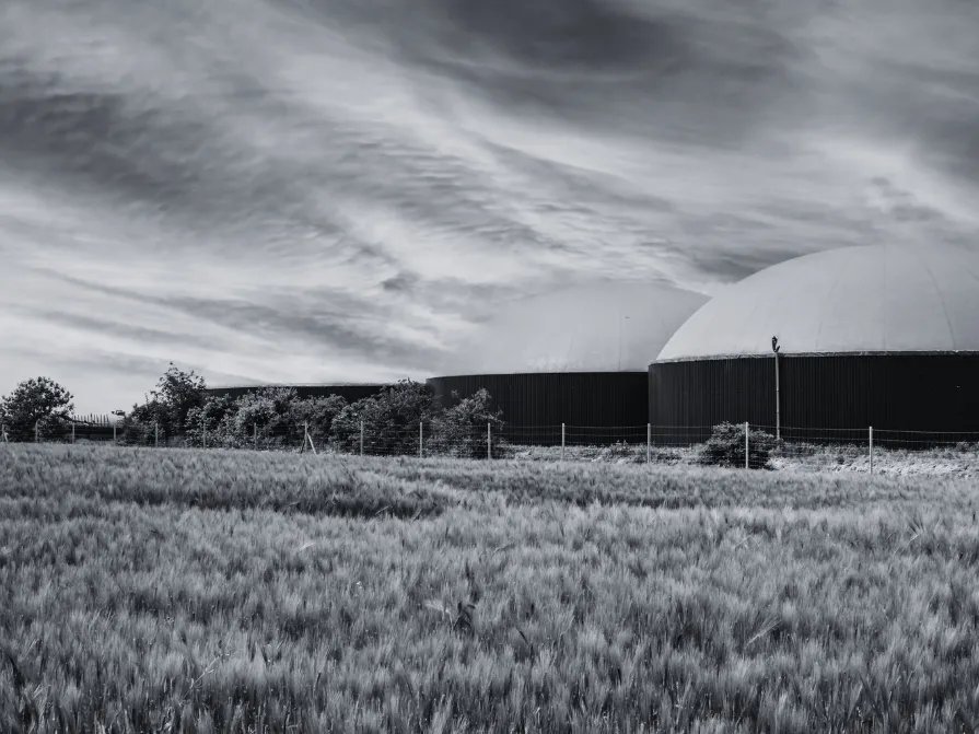 biomass sealing solutions